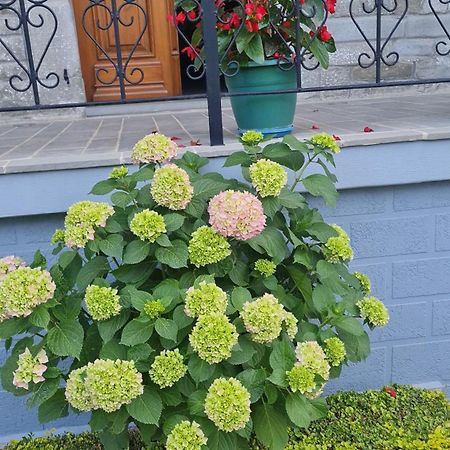 Garden Guest House Përmet Dış mekan fotoğraf