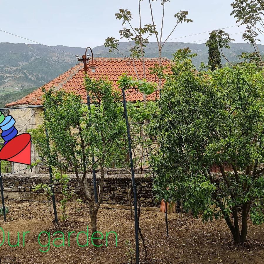 Garden Guest House Përmet Dış mekan fotoğraf