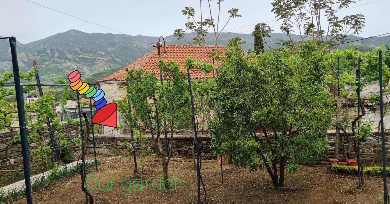 Garden Guest House Përmet Dış mekan fotoğraf
