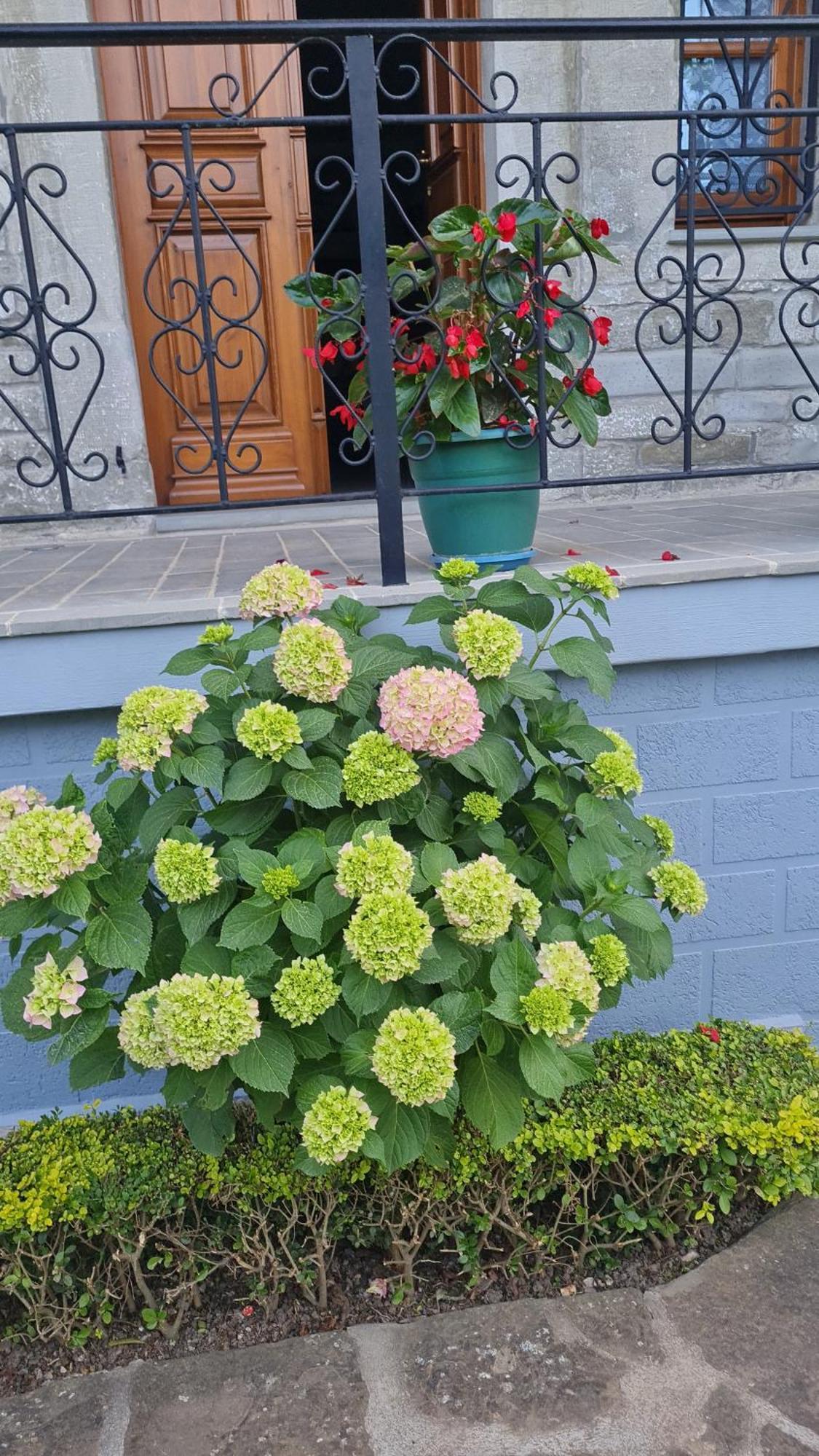 Garden Guest House Përmet Dış mekan fotoğraf